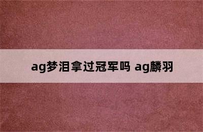 ag梦泪拿过冠军吗 ag麟羽